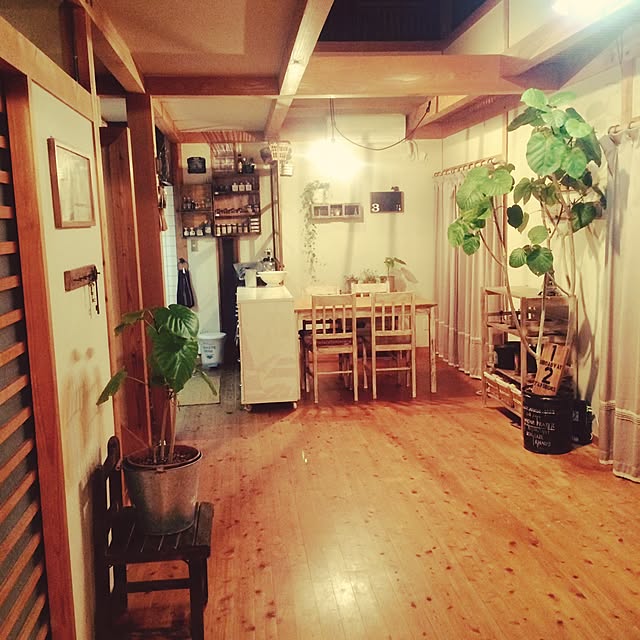jisoさんの実例写真