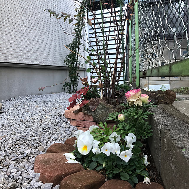 yuyuさんの部屋