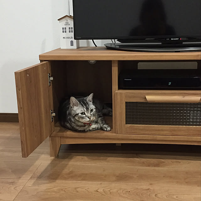 実例写真