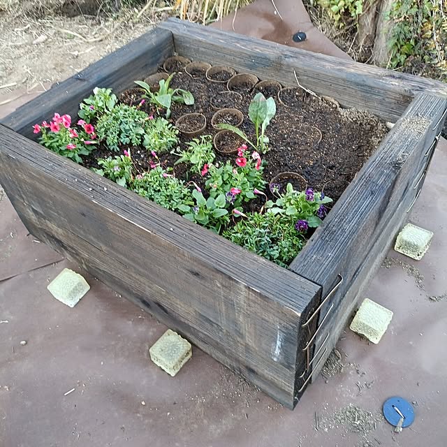 tamachan235さんの実例写真