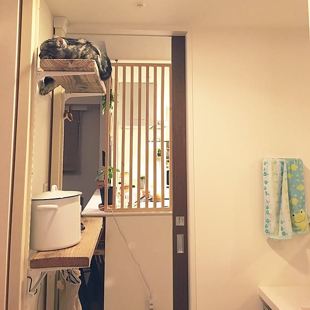 mikomaruさんの実例写真