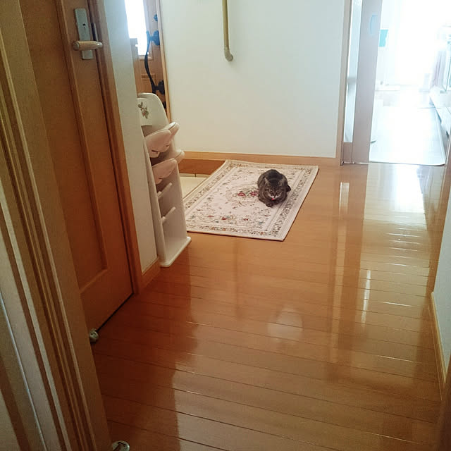 lilyさんの実例写真