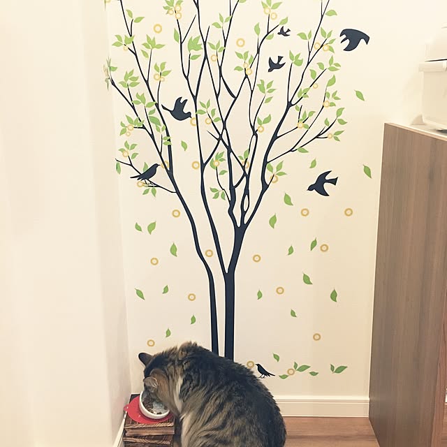 m0m0necさんの実例写真