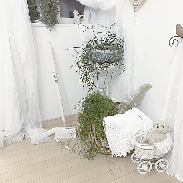 Makoさんの実例写真