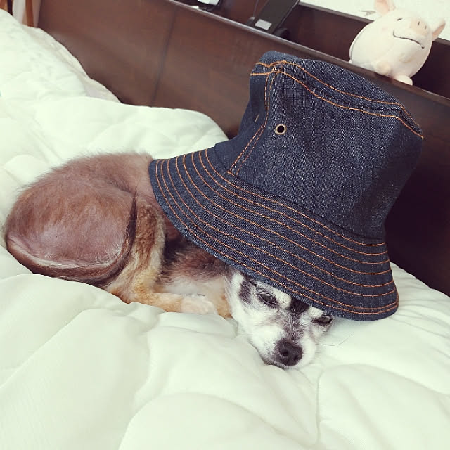 nia1213さんの実例写真
