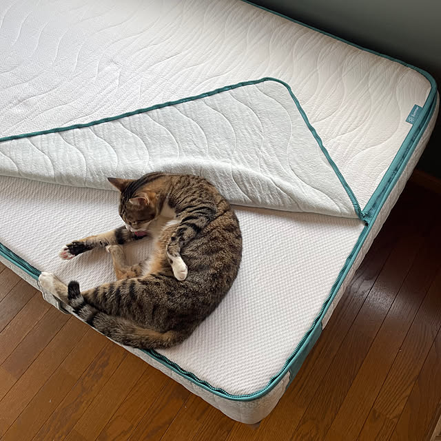 nobikoさんの部屋