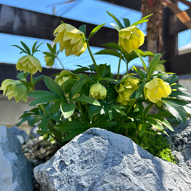 chiekoさんの実例写真