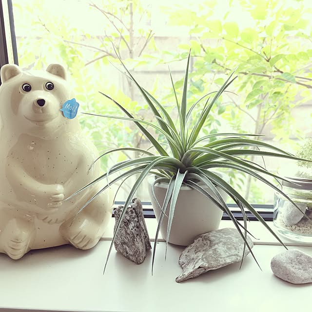 sakineko528さんの実例写真