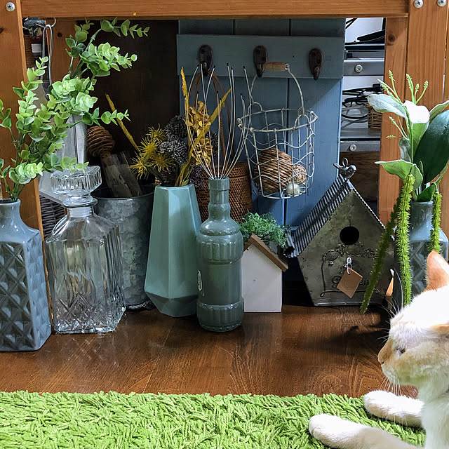 mohhaさんの実例写真