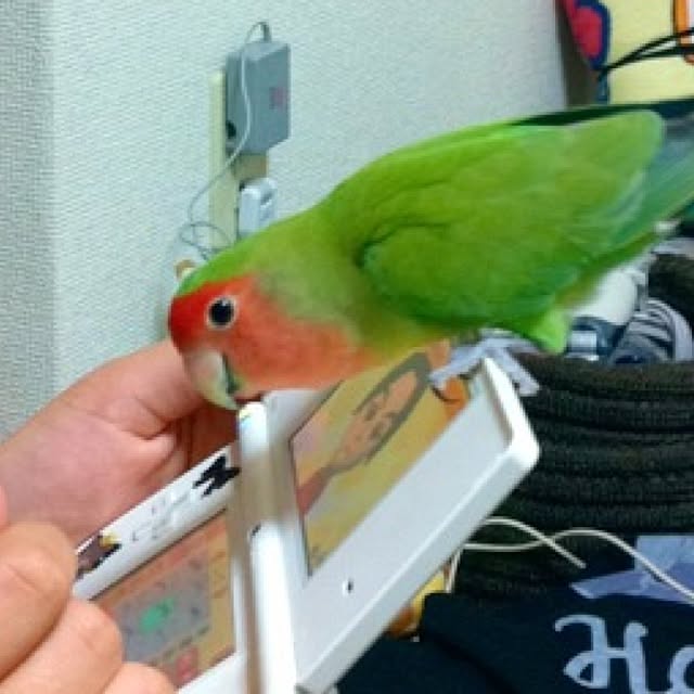 madokaさんの実例写真