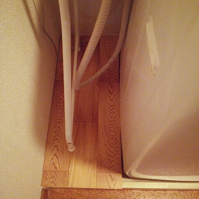 Rinnさんの実例写真
