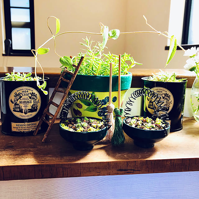 NAOさんの部屋