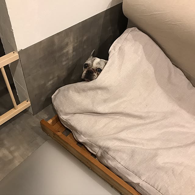 misamariさんの実例写真