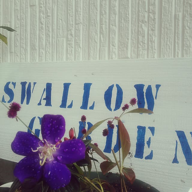 poemwalkさんの実例写真