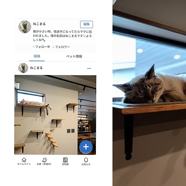 Atelier_tamakiさんの実例写真