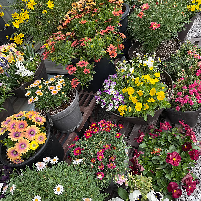 namecoさんの部屋