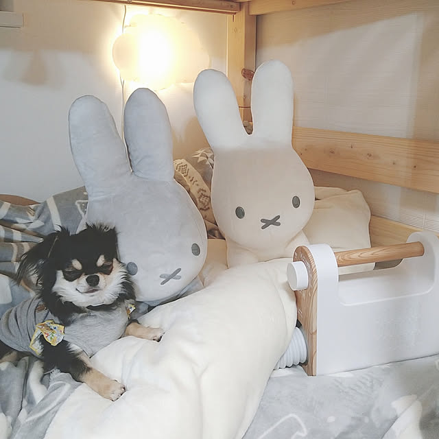 yumegu8さんの実例写真