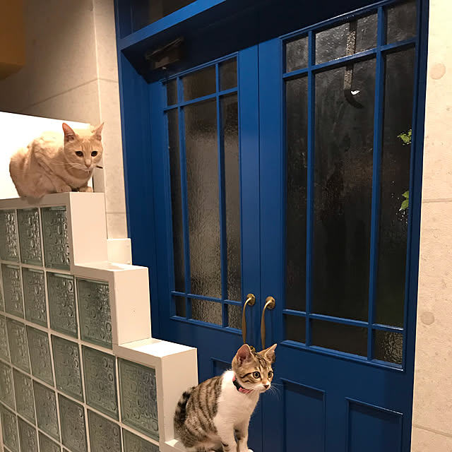 tomo7108さんの実例写真