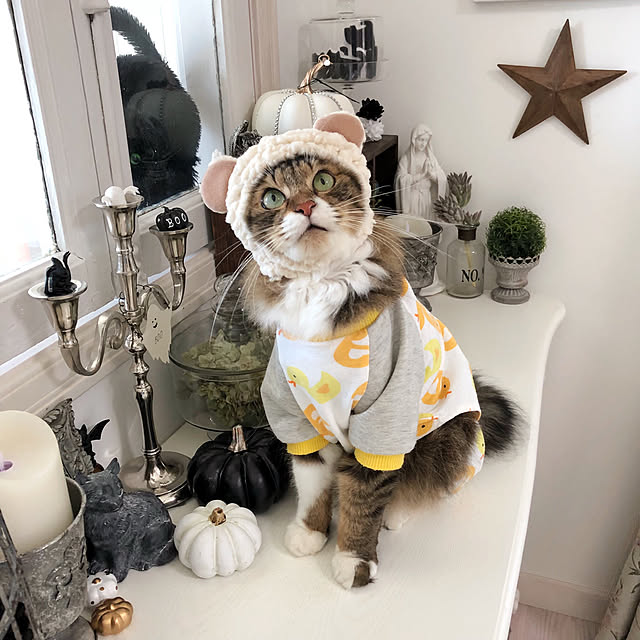 yuchiさんの実例写真