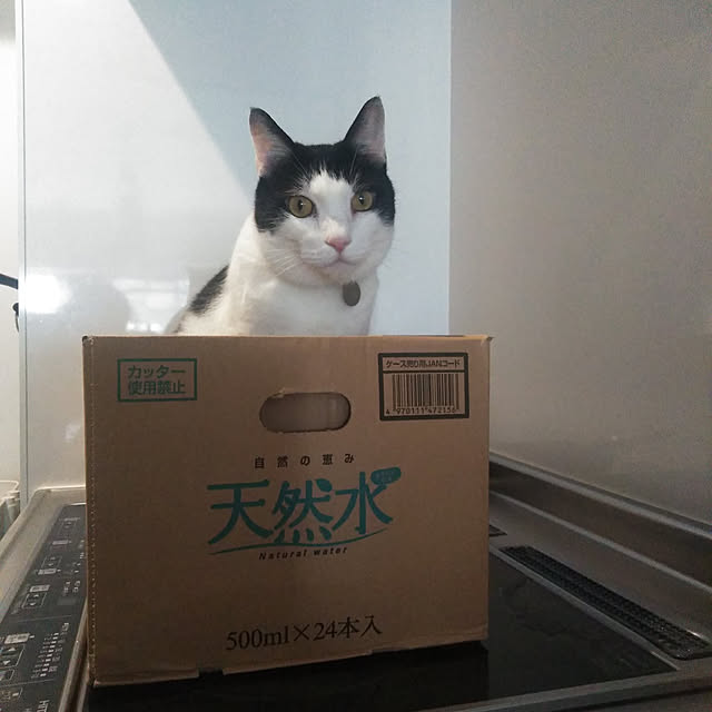 futukoさんの実例写真