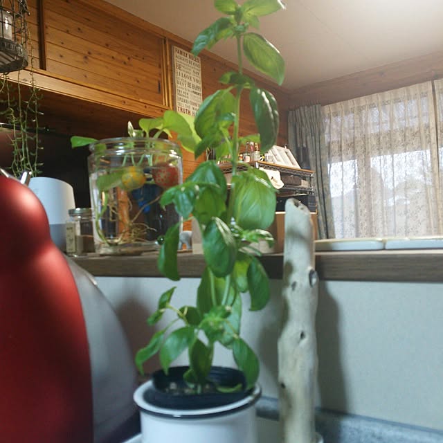 woodyさんの実例写真