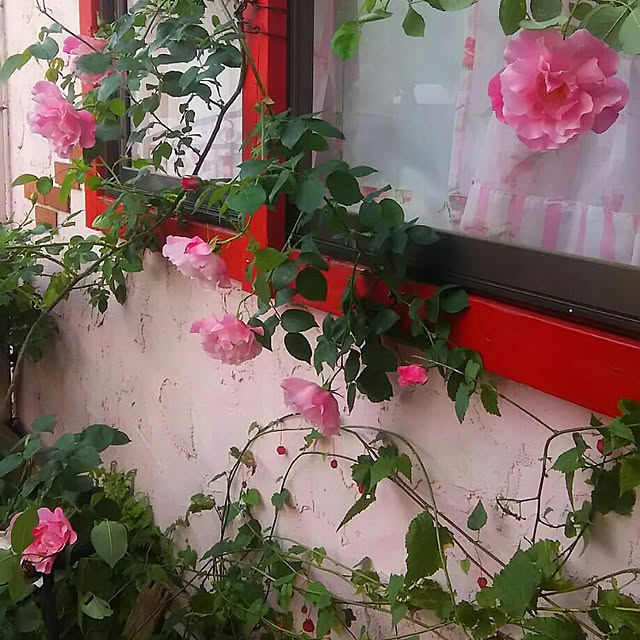 ganamiさんの実例写真
