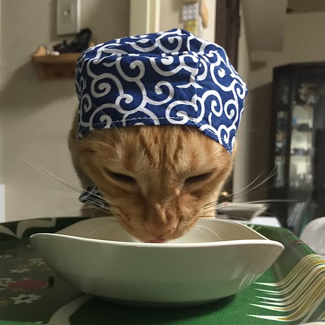 mtkさんの実例写真