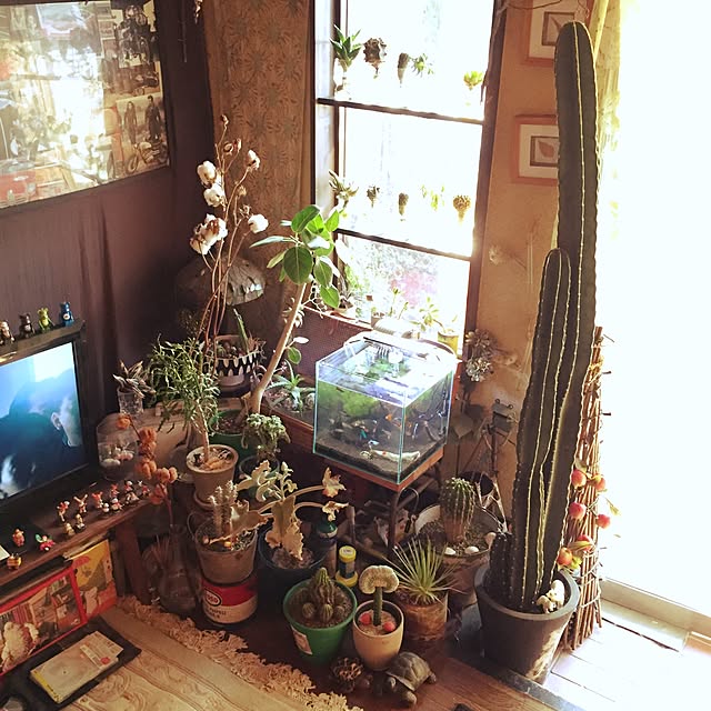 Masahideさんの実例写真