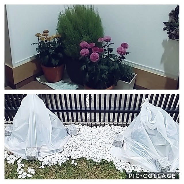 tomoさんの実例写真