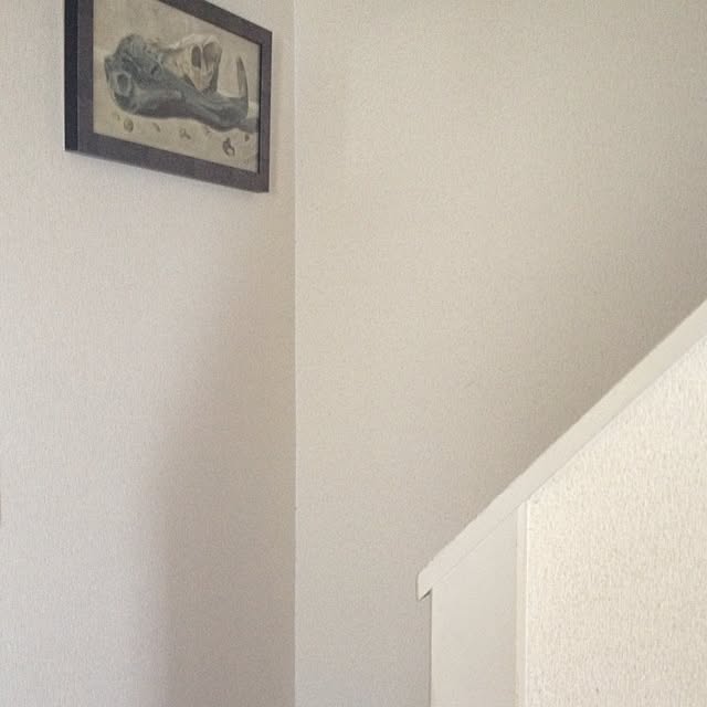 hatokoさんの実例写真