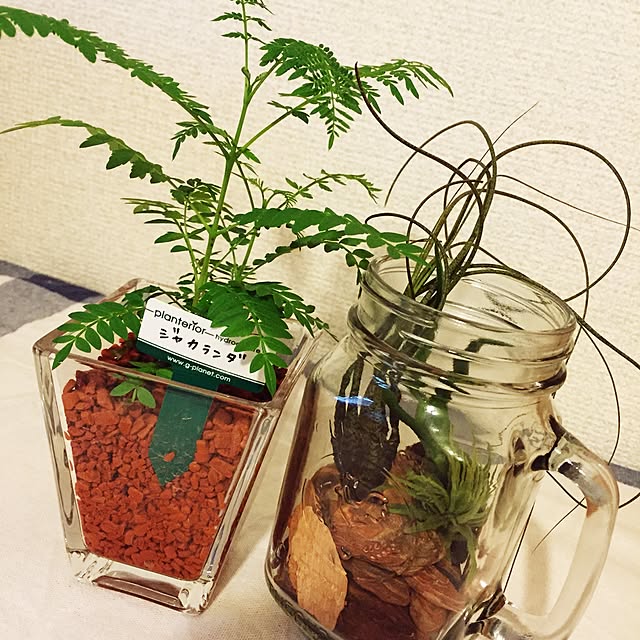 yukiさんの実例写真