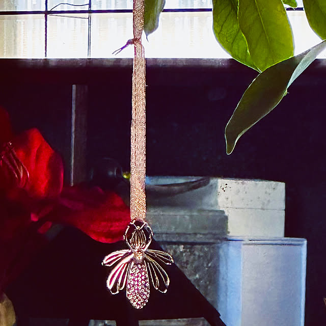 chacoさんの実例写真