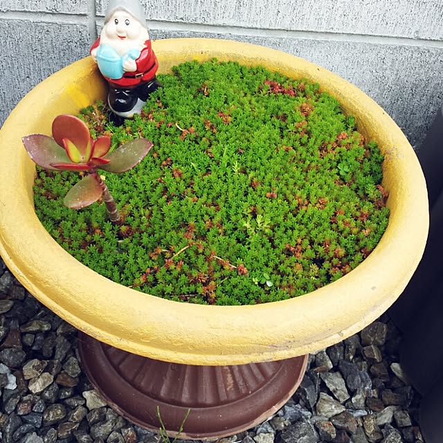 seiさんの実例写真