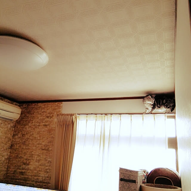 kumingさんの実例写真