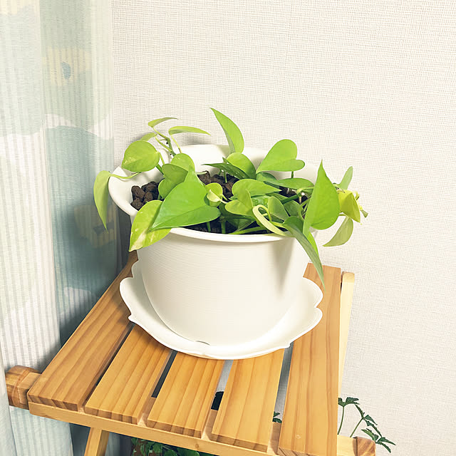 yoyoyoさんの実例写真