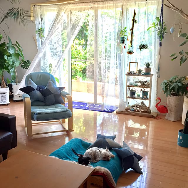 cooさんの実例写真