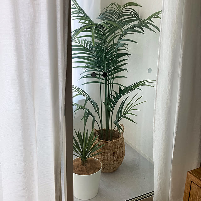 ainaさんの部屋