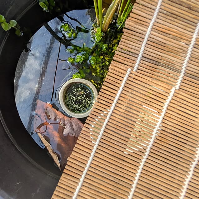 mi-saさんの部屋