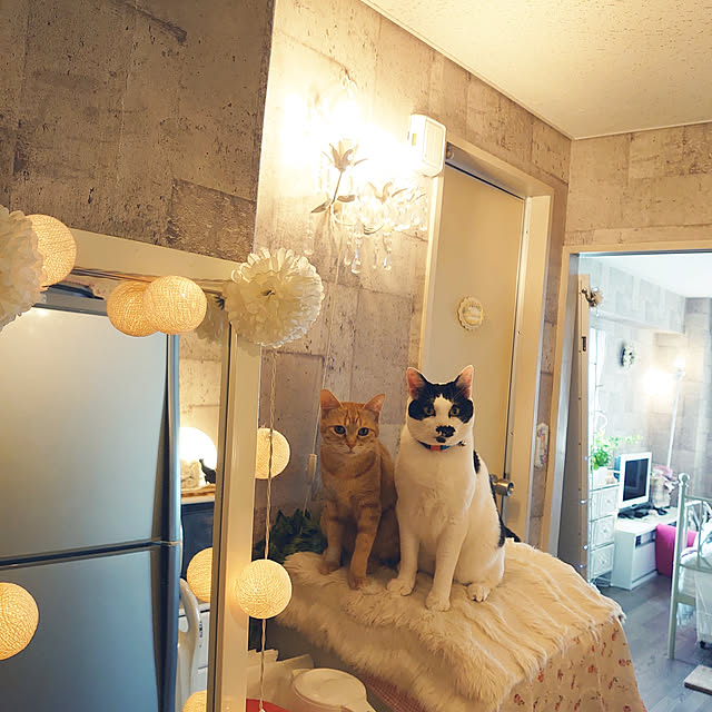 asuminさんの実例写真