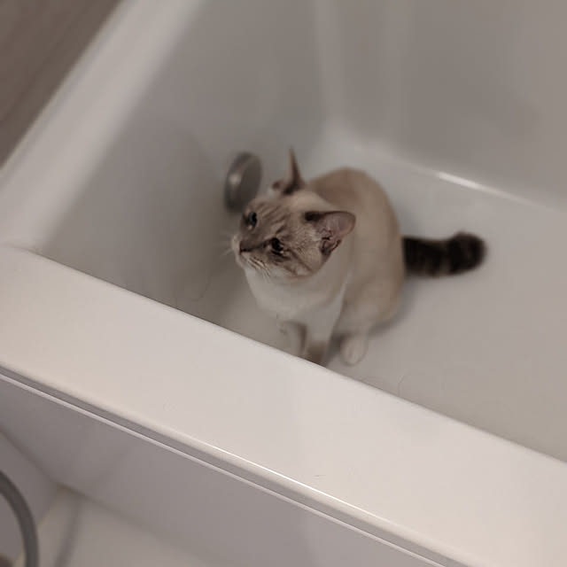 tetotorikaさんの実例写真