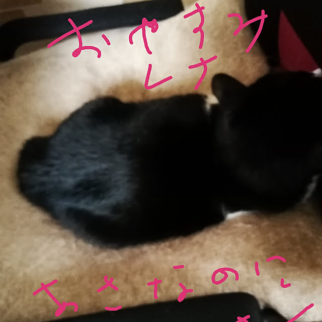 Tomopさんの実例写真