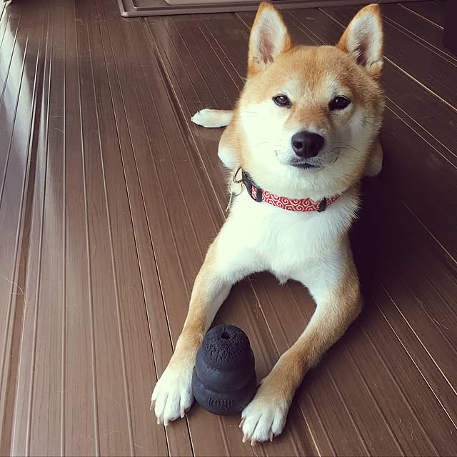 ronmaruさんの実例写真