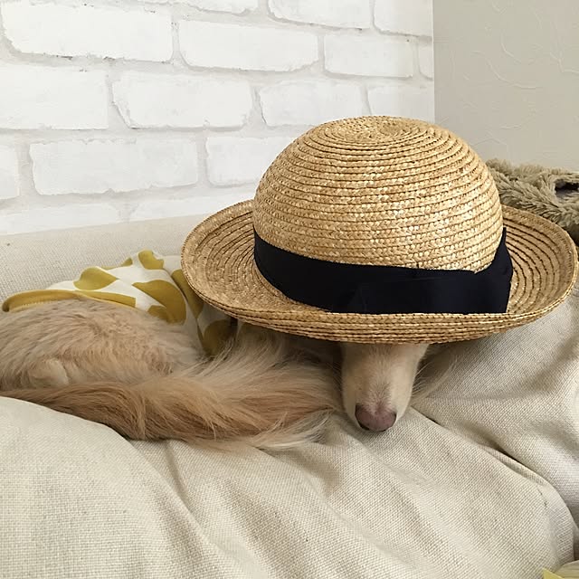 Erinさんの実例写真
