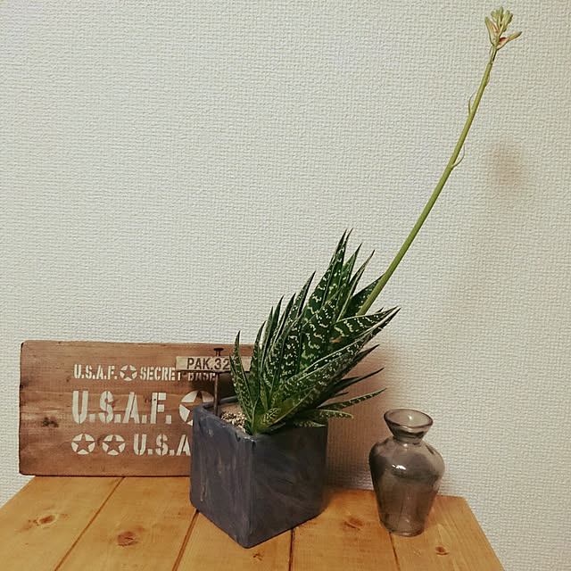 buuさんの実例写真