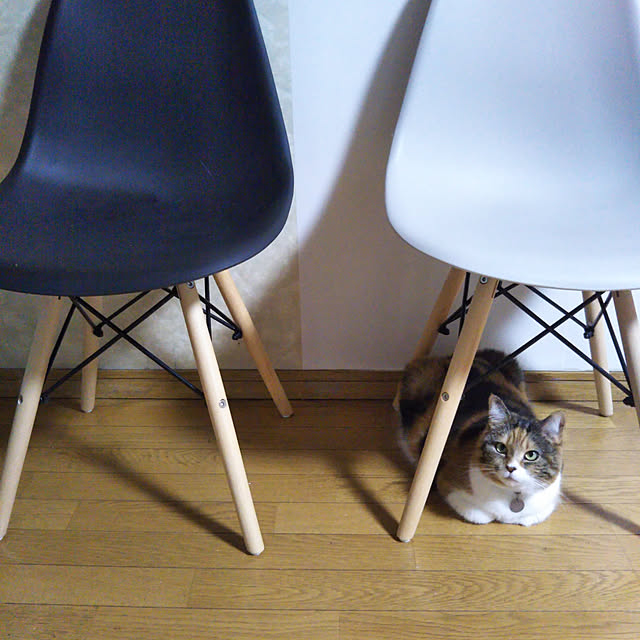 yukieさんの実例写真