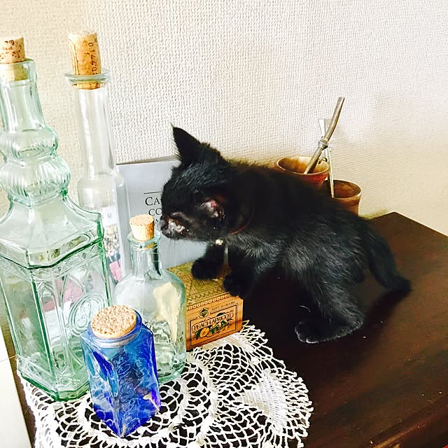 tomokito77さんの実例写真