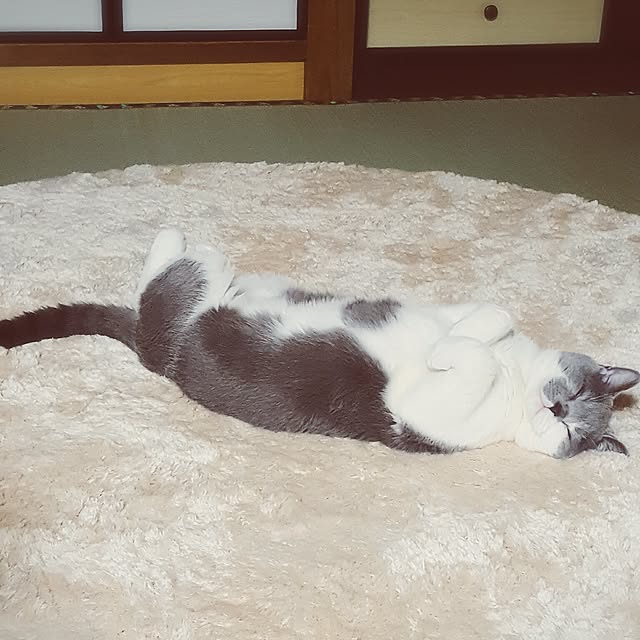 rhuさんの実例写真