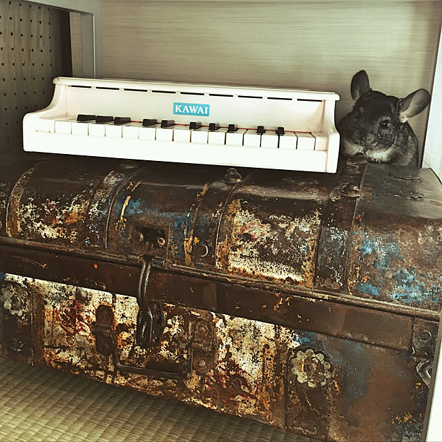 bambiさんの実例写真
