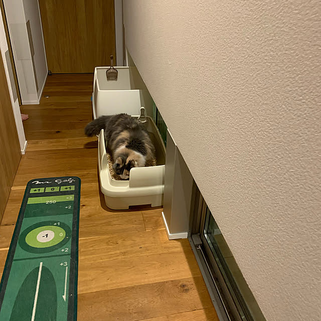 marikoさんの実例写真