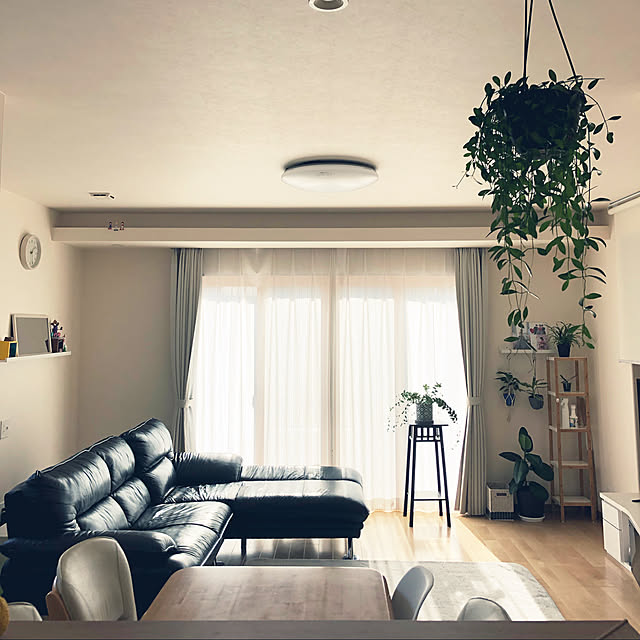 観葉植物/IKEA/ガーデニング/DIY/北欧...などのインテリア実例 - 2022-01-29 13:30:26